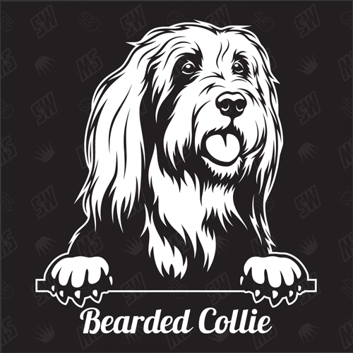 Bearded Collie Version 1 - Sticker, Hundeaufkleber, Autoaufkleber