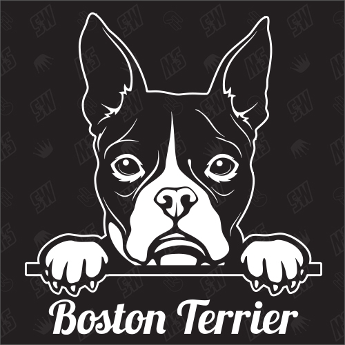 Boston Terrier Version 1 - Sticker, Hundeaufkleber, Autoaufkleber
