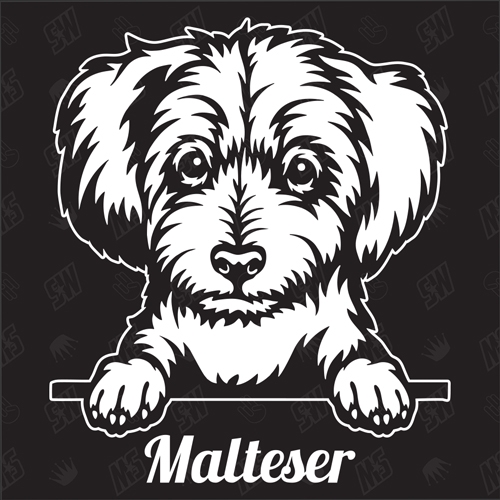 Malteser Version 3 - Sticker, Hundeaufkleber, Autoaufkleber