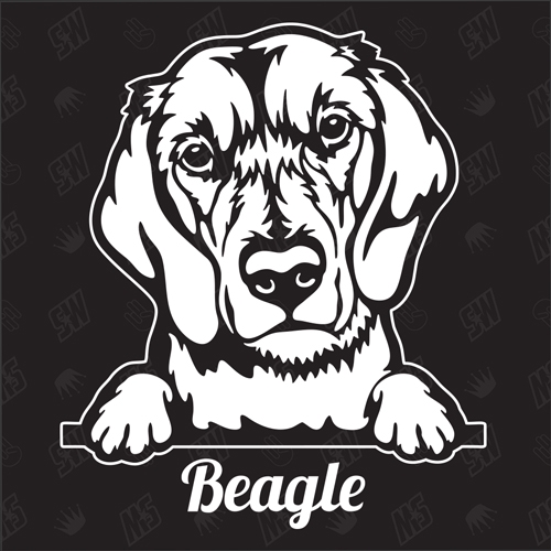 Beagle Jagdhund Version 4 - Sticker, Hundeaufkleber, Autoaufkleber