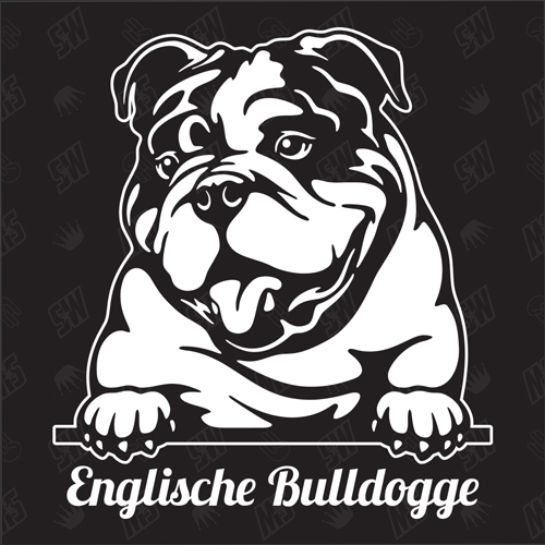 Englische Bulldogge Version 3 - Sticker, Hundeaufkleber, Autoaufkleber