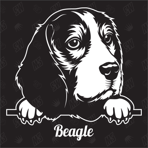 Beagle Jagdhund Version 1 - Sticker, Hundeaufkleber, Autoaufkleber