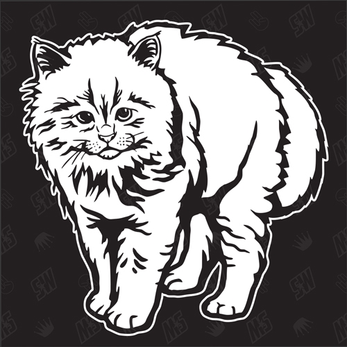 Kätzchen Version 7 - Sticker, Aufkleber, Hauskatze, süße Katze, Katzenaufkleber, Cat