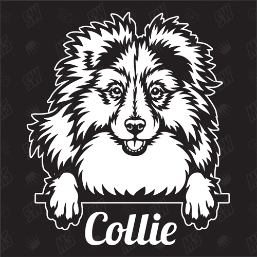 Collie Version 1 - Sticker, Hundeaufkleber, Autoaufkleber
