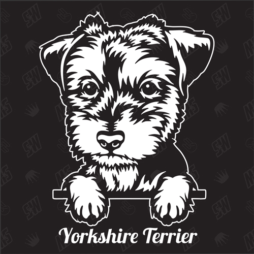 Yorkshire Terrier Version 4 - Sticker, Hundeaufkleber, Autoaufkleber