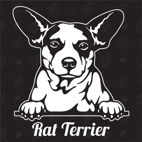 Rat Terrier Version 2 - Sticker, Hundeaufkleber, Autoaufkleber