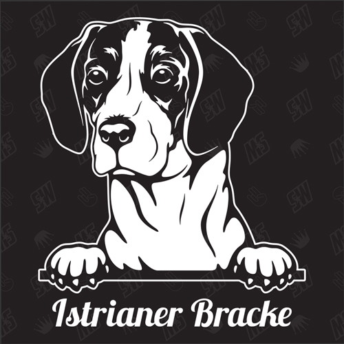 Istrianer Bracke Version 1 - Sticker, Hundeaufkleber, Autoaufkleber