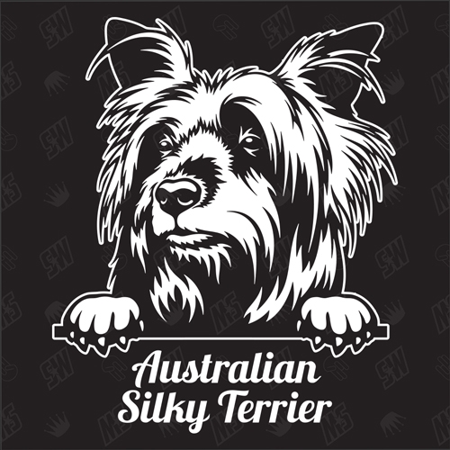 Australian Silky Terrier Version 1 - Sticker, Hundeaufkleber, Autoaufkleber