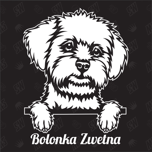 Bolonka Zwetna Version 1 - Sticker, Hundeaufkleber, Autoaufkleber