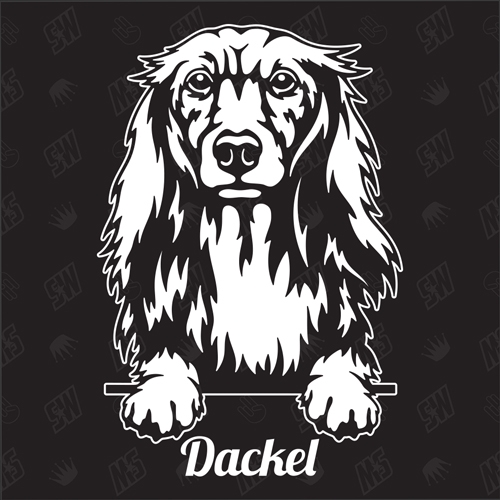 Dackel Dachshund Version 3 - Sticker, Hundeaufkleber, Autoaufkleber