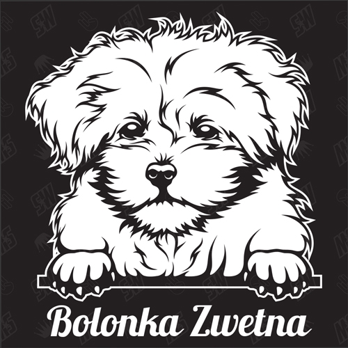 Bolonka Zwetna Version 3 - Sticker, Hundeaufkleber, Autoaufkleber