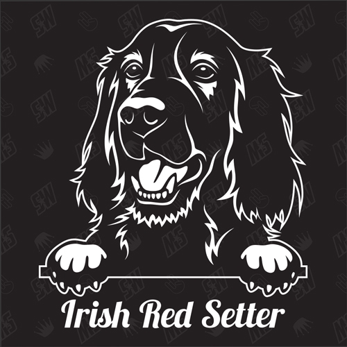 Irish Red Setter Version 1 - Sticker, Hundeaufkleber, Autoaufkleber