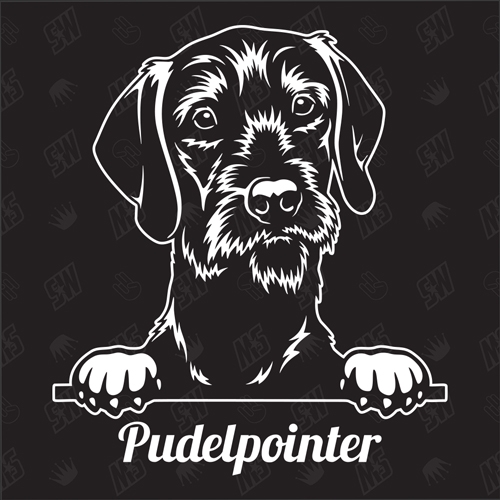 Pudelpointer Version 1 - Sticker, Hundeaufkleber, Autoaufkleber