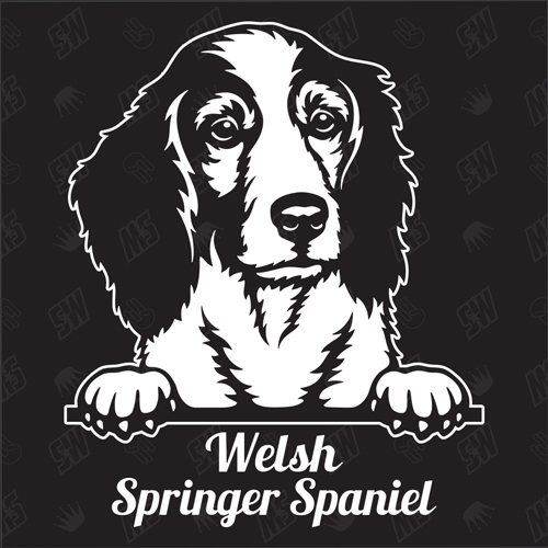 Welsh Springer Spaniel Version 1 - Sticker, Hundeaufkleber, Autoaufkleber