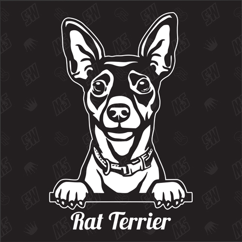 Rat Terrier Version 1 - Sticker, Hundeaufkleber, Autoaufkleber