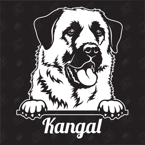 Kangal Version 1 - Sticker, Hundeaufkleber, Autoaufkleber