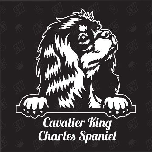 Cavalier King Charles Spaniel Version 2 - Sticker, Hundeaufkleber, Autoaufkleber