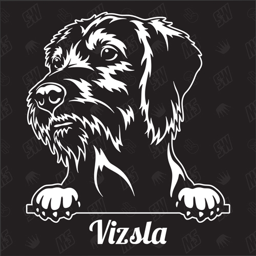 Vizsla Version 1 - Sticker, Hundeaufkleber, Autoaufkleber
