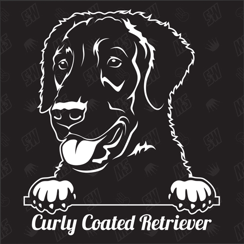 Curly Coated Retriever Version 1 - Sticker, Hundeaufkleber, Autoaufkleber