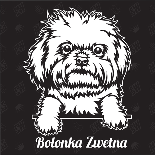 Bolonka Zwetna Version 2 - Sticker, Hundeaufkleber, Autoaufkleber
