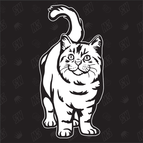Kätzchen Version 14 - Sticker, Aufkleber, Hauskatze, stehend, süße Katze, Katzenaufkleber, Cat