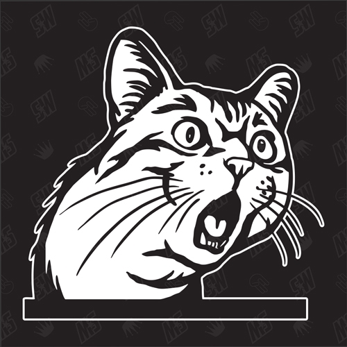 Kätzchen Version 13 - Sticker, Aufkleber, Hauskatze, erschreckend, süße Katze, Katzenaufkleber, Cat