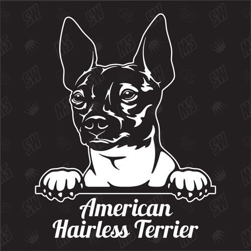 American Hairless Terrier Version 1 - Sticker, Hundeaufkleber, Autoaufkleber