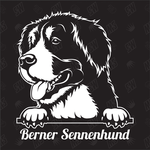 Berner Sennenhund Version 12 - Sticker, Hundeaufkleber, Autoaufkleber