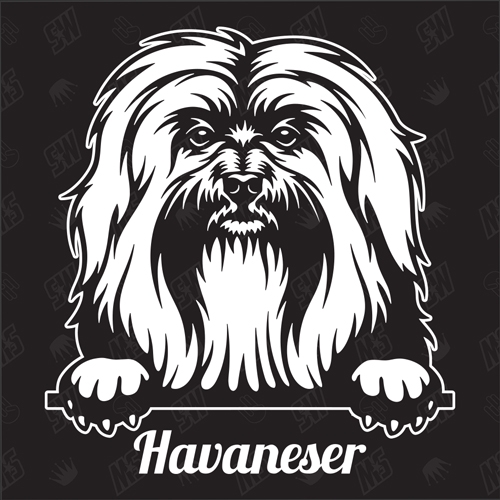 Havaneser Version 1 - Sticker, Hundeaufkleber, Autoaufkleber