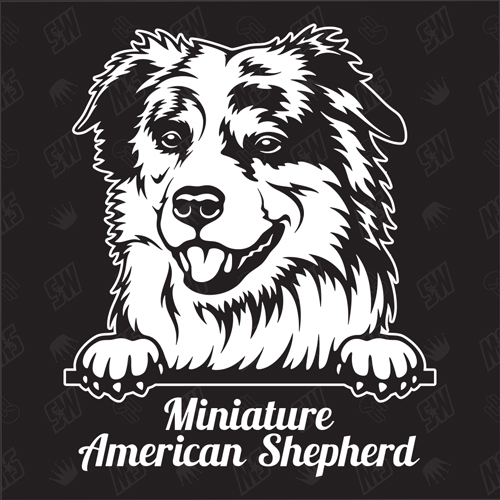 Miniature American Shepherd Version 1 - Sticker, Hundeaufkleber, Autoaufkleber
